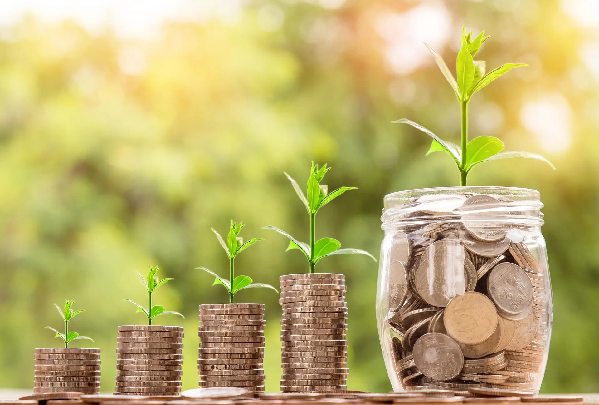 Grow financial knowledge